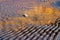 Structures in the mudflats with water reflections from evening sun