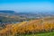 Struempfelbach - Vineyards at Weinstadt region - beautiful landscape in autum close to Stuttgart, Baden-Wuerttemberg, Germany