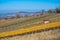 Struempfelbach - Vineyards at Weinstadt region - beautiful landscape in autum close to Stuttgart, Baden-Wuerttemberg, Germany