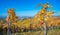 Struempfelbach - Vineyards at Weinstadt region - beautiful landscape in autum close to Stuttgart, Baden-Wuerttemberg, Germany