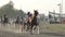 Struggle of harness horses in a race on a stadium - front view slow motion