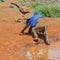 Struggling Baby African Elephant Orphan