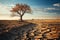 Struggling tree on dry soil underscores climate changes toll water scarcity and drought