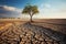 Struggling tree on dry soil underscores climate changes toll water scarcity and drought