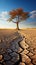 Struggling tree on dry soil underscores climate changes toll water scarcity and drought