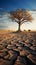 Struggling tree on dry soil underscores climate changes toll water scarcity and drought