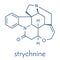 Strychnine poisonous alkaloid molecule. Isolated from Strychnos nux-vomica tree. Skeletal formula.