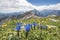 Stubai Gentians