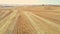 Stubble is all that is left after a successful fall harvest of wheat