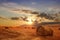 Stubble field and hay bales