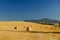 Stubble field with round hay bales, Tuscany