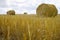 Stubble field with straw bundles