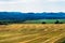 Stubble fields in the Altai mountains