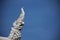 Stucco Art White Naga Heads With Blue Sky Background