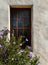 Stucco wall and window, flowering plant