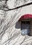 Stucco wall and window, with tree shadows