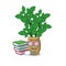 Student with book lemon balm next the cartoon house