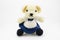 Student female bear crochet doll isolated