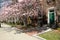 Student residences at Boston University