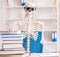 Student skeleton preparing for exams