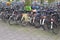 Students bikes in the city center of Utrecht, Netherlands