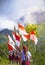 Students Ceremony to celebrate Indonesia independence day and white flag is the flag of Indonesia. Upacara Bendera Indonesia