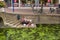 Students have a sushi lunch at the canal in Delft, Netherlands