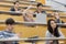 Students having a lesson in the lecture hall