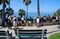 Students viewing ocean coastline, Laguna Beach, California.