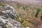 Studeny hrad rock at Tribec mountains during early spring