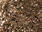 Studio glittering sepia colour mosaic repeated pattern glitter background. Wall or floor mosaic texture, bathroom tile design.