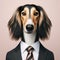 Studio photo portrait of elegant Arabian saluki dog in a business suit. ai generative