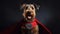 studio photo shot of a Airedale Terrier dog in a superhero outfit. Generative AI