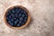 A studio photograph of a bowl of blueberries