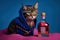 Studio photography of a cat with a bottle of vodka on colored backgrounds.