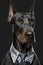 Studio portrait of bold angry doberman dog in suit white shirt and tie in sunglasses