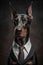 Studio portrait of bold angry doberman dog in suit white shirt and tie in sunglasses