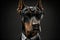 Studio portrait of bold angry doberman dog in suit white shirt and tie in sunglasses