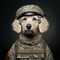 Studio portrait of dog soldier wearing uniform. Generative AI