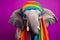 Studio portrait of an elephant wearing knitted hat, scarf and mittens. Colorful winter and cold weather concept