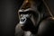 Studio portrait of gorilla, digital illustration artwork, animals, wildlife
