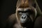 Studio portrait of gorilla, digital illustration painting, animals, wildlife