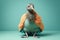 Studio portrait of kiwi bird in boho clothes doing yoga, created with Generative AI technology