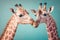 Studio portrait of two giraffes kissing, created with Generative AI technology
