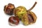 Studio shot of four chestnuts