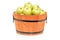 Studio shot of green apples in a wooden barrel