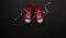 A studio shot of pair of canvas shoes on black background. Flat lay.