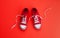 A studio shot of pair of canvas shoes on red background. Flat lay.