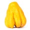 Studio shot single bright yellow Fingered Citron Buddha Hand citrus isolated on white