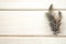 Studio shot of spread of three of black and white spotted patterned and textured guinea fowl feathers white